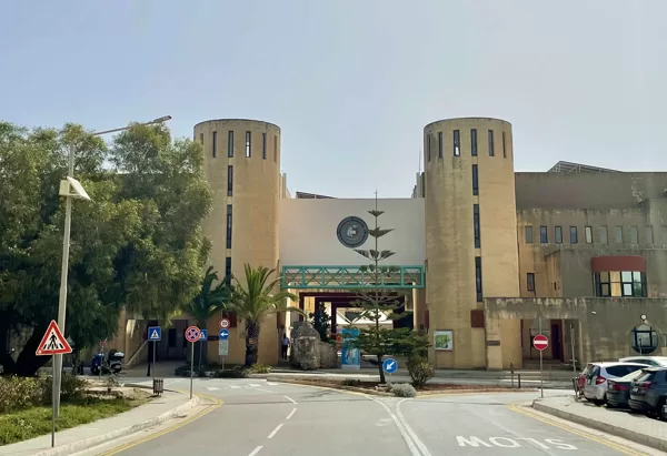 Maltos universitetas